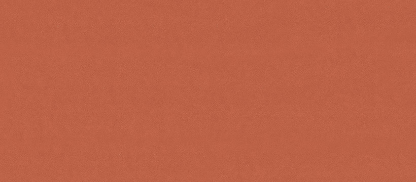 2203 阳光橙