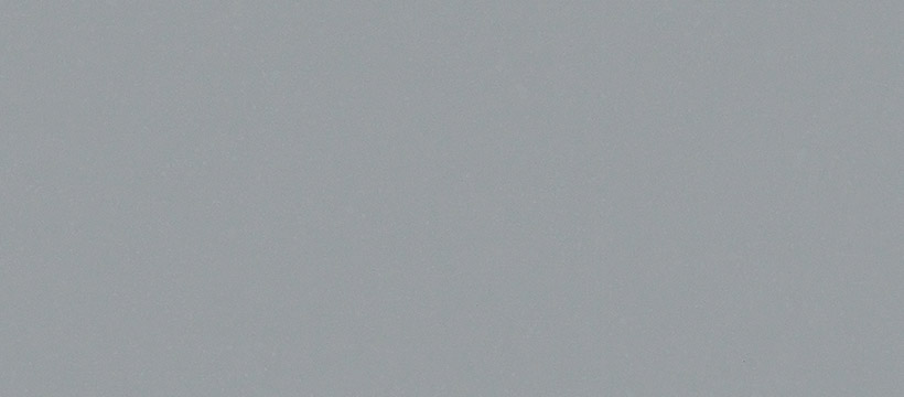 2205 维克灰