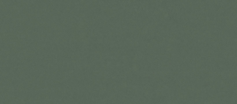 2207 雨林绿
